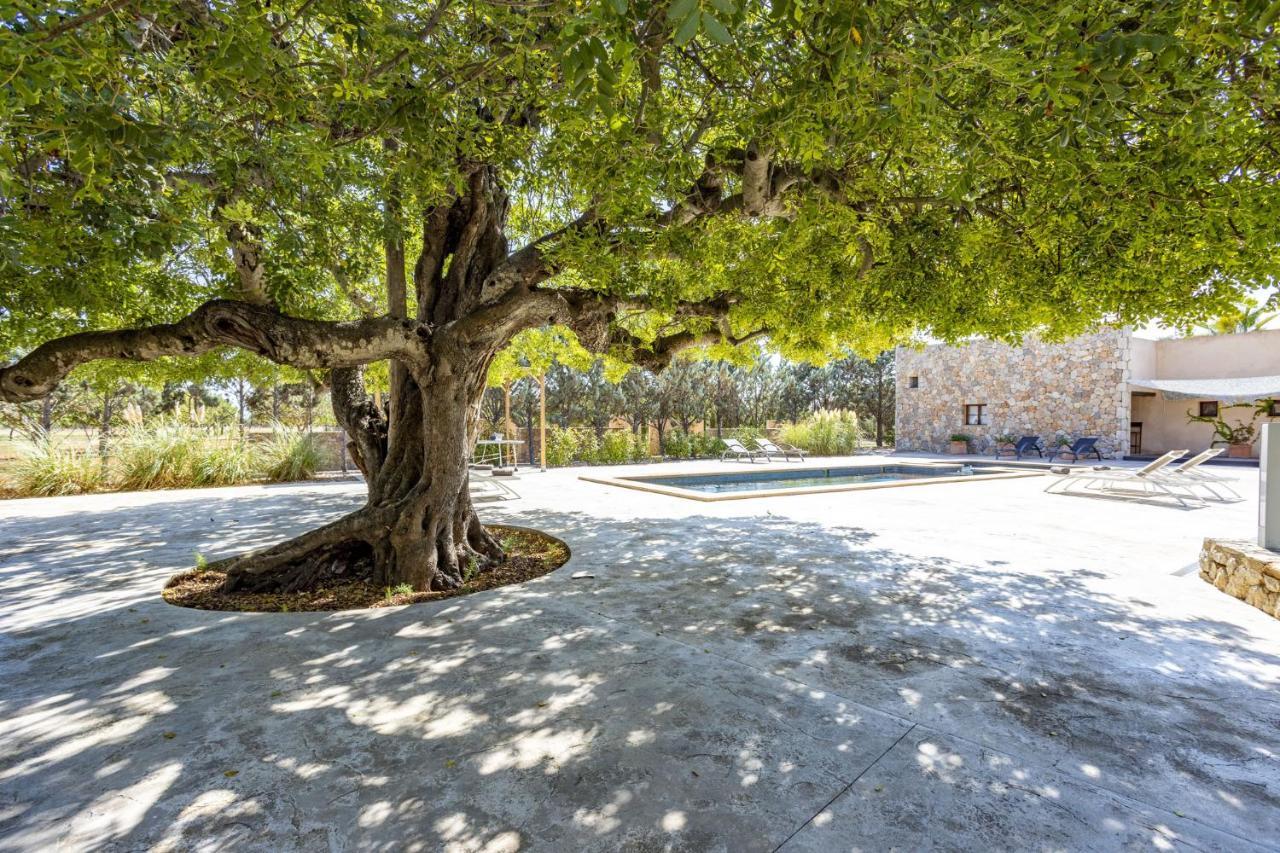 Villa Es Triquet Family Binissalem Exterior photo